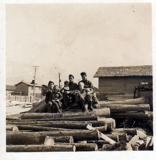 �I���̎d�����Ԃ̂����ƁA�A�����J�R�̎q���B�ł��B